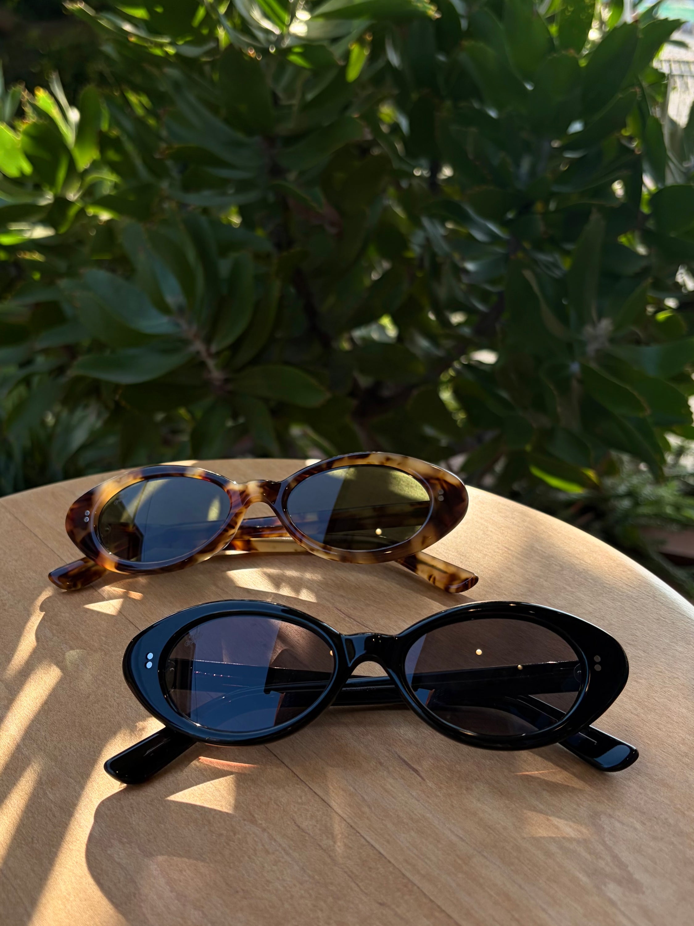 AKILA Eyewear Daisy